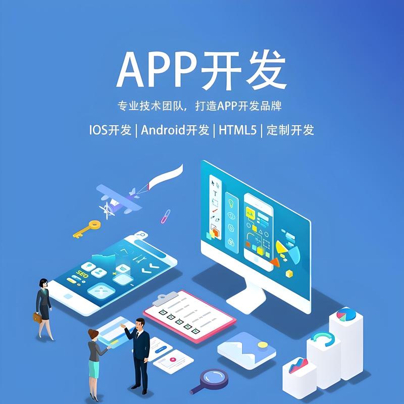 海口软件开发